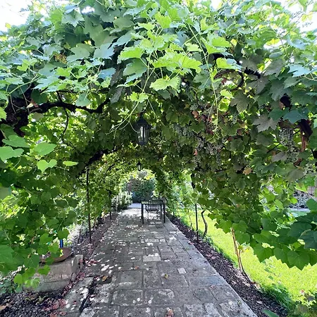 Carmen Garden Oda ve Kahvaltı 3*